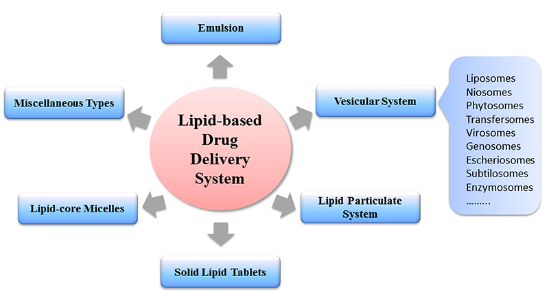 Fig.1 Different classes of lipid-based drug delivery systems. (Creative Biolabs Original)