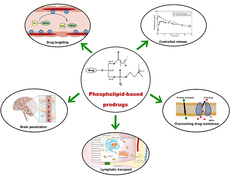 Fig.1 Characteristics of PDCs. (Markovic, Milica, et al, 2018) 