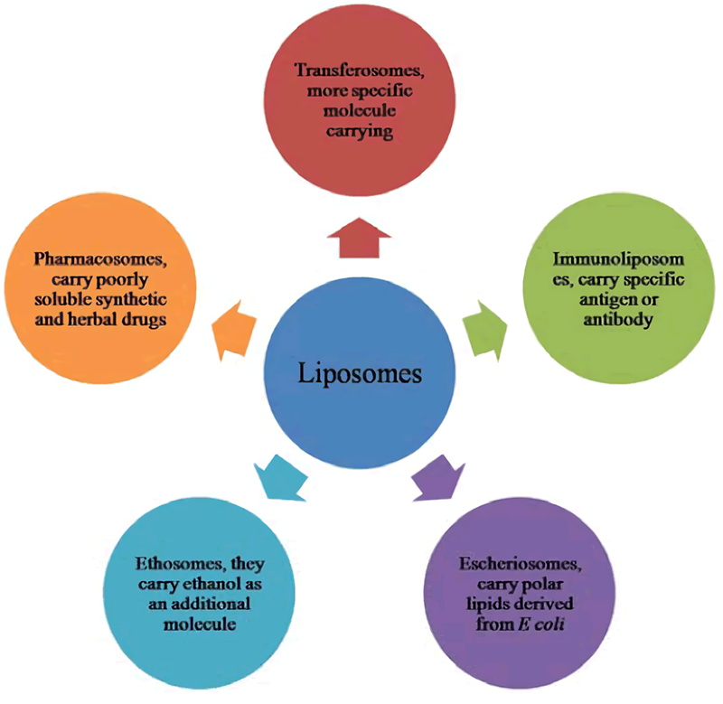Fig.1 Different types of liposomes. (Yadav, D, et al, 2017)