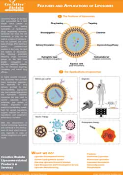Fig. 3 Features and Applications of Liposomes - Infographic. (Creative Biolabs Original)