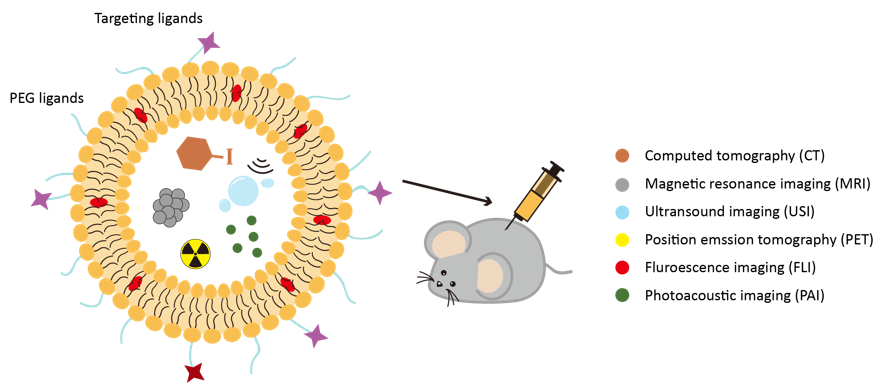 Different liposome-based probes for molecular imaging - Creative Biolabs