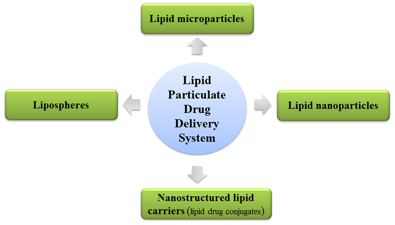 Fig.1 Different kinds of lipid particulate drug delivery systems. (Creative Biolabs Original)