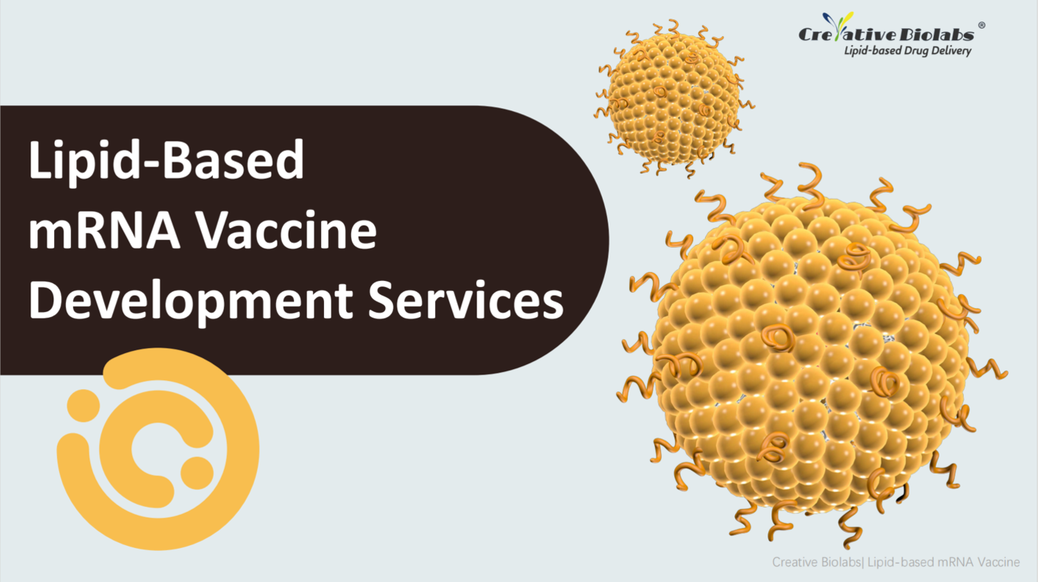 Features and Applications of Liposomes - Infographic