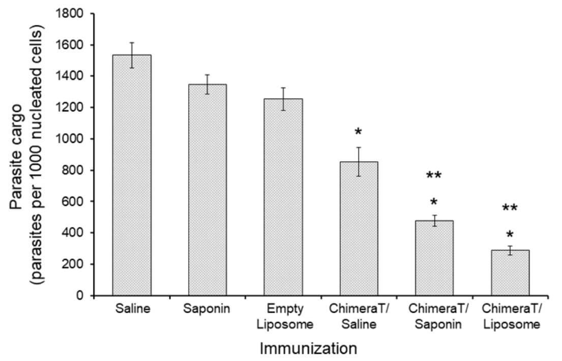 Evaluation of the parasite burden