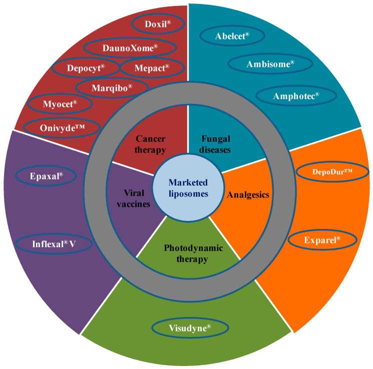 Fig.1 Therapeutic areas covered by liposome-based products. (Bulbake, Upendra, et al, 2017)