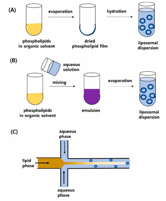Fig.1 Representative techniques for the preparation of liposomes. (Lee, Mi-Kyung, 2020)