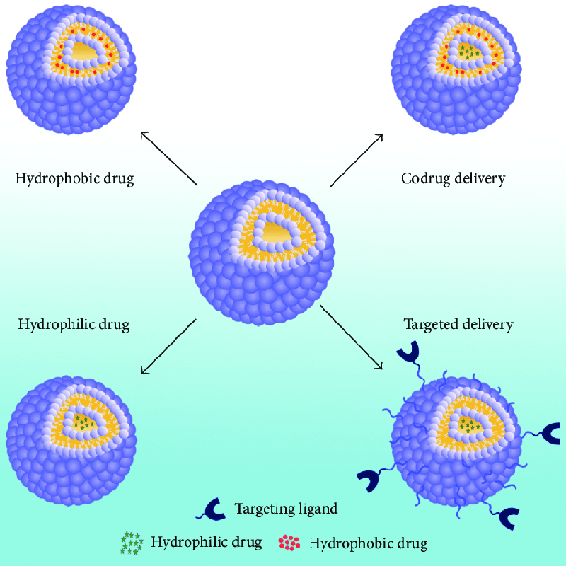 Fig.2 Niosomes in drug delivery. (Ag Seleci, Didem, et al, 2016)