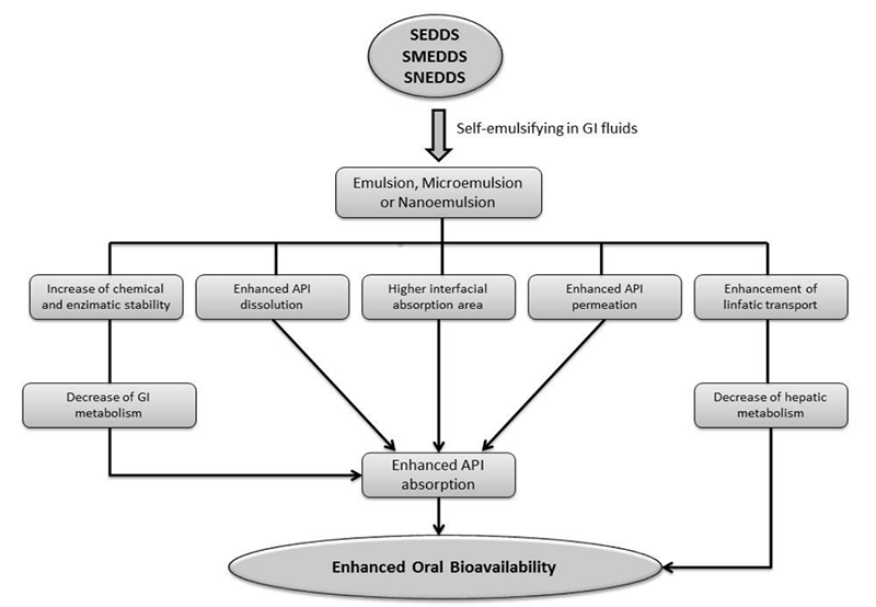 Fig.1 Main factors that influence the bioavailability of drugs formulated in SEDDS, SMEDDS or SNEDDS. (Zanchetta, Beatriz, Marco Vinícius Chaud, and Maria Helena Andrade Santana, 2015)