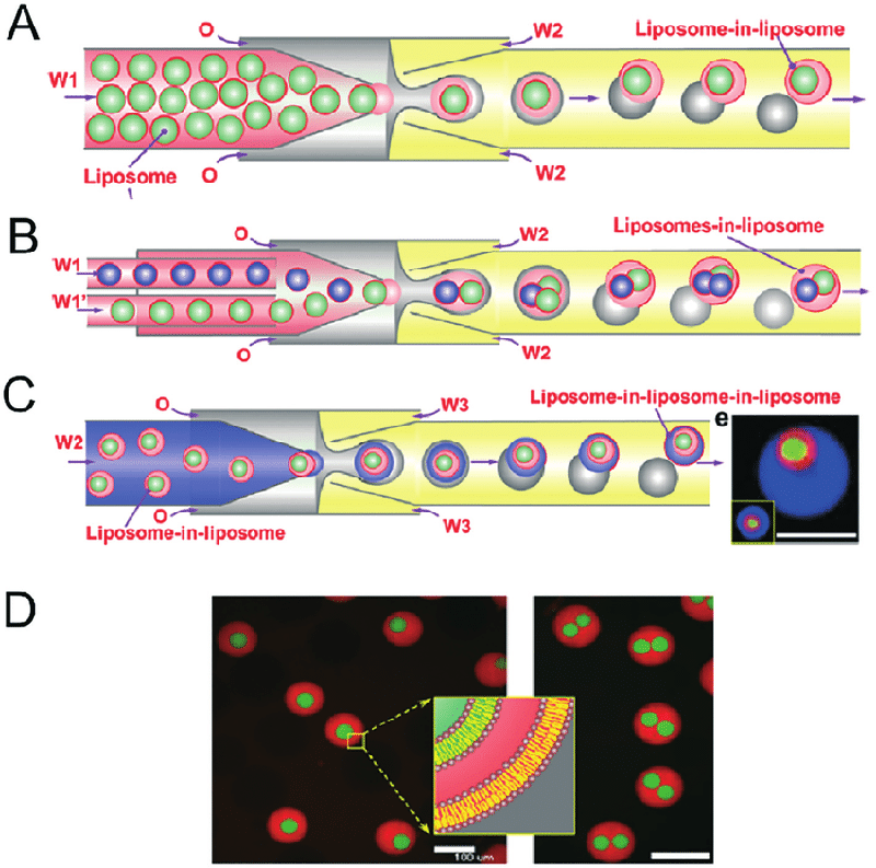 Fig.2 Microfluidic construction of vesosomes using double emulsions. (Trantidou, T., et al, 2018)