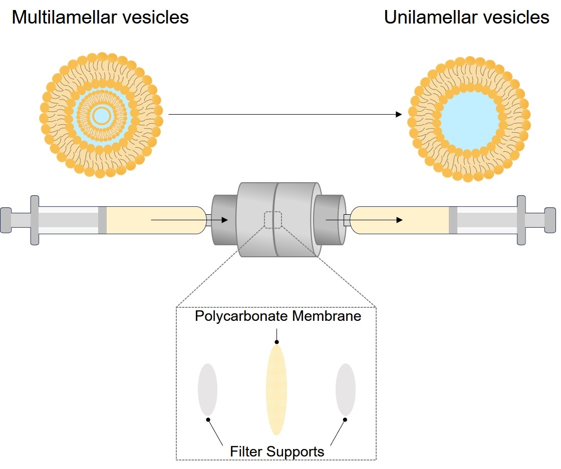 Fig.2 A small, hand-held, extruder used in the manufacture of nanoliposomes. (Creative Biolabs Original)