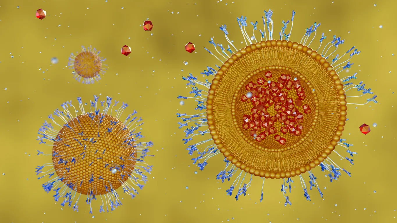 Fig. 1 Antibody-Coupled Liposome banner (Creative Biolabs Original)