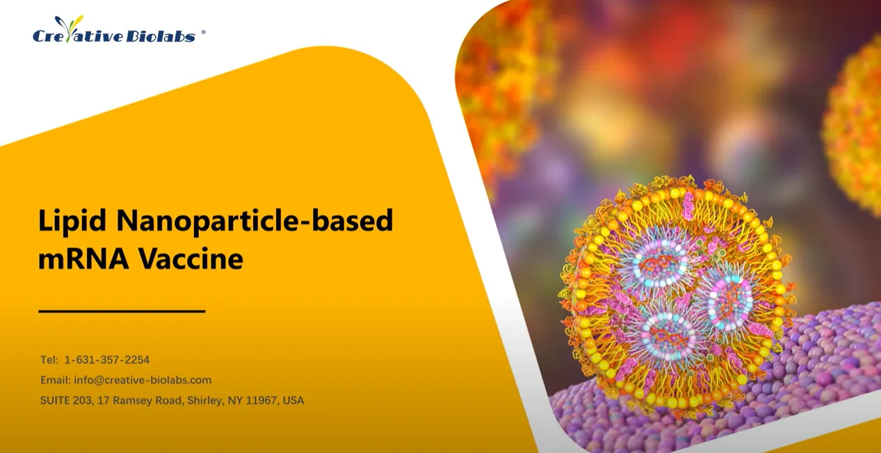 Lipid Nanoparticle based mRNA Vaccine – Video