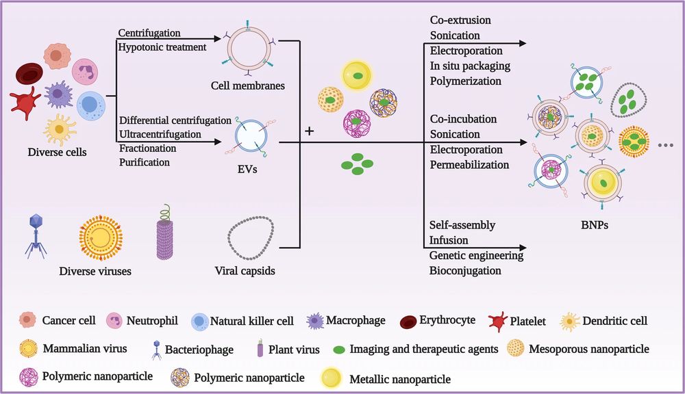 The typical procedures to construct various BNPs.. (OA Literature)