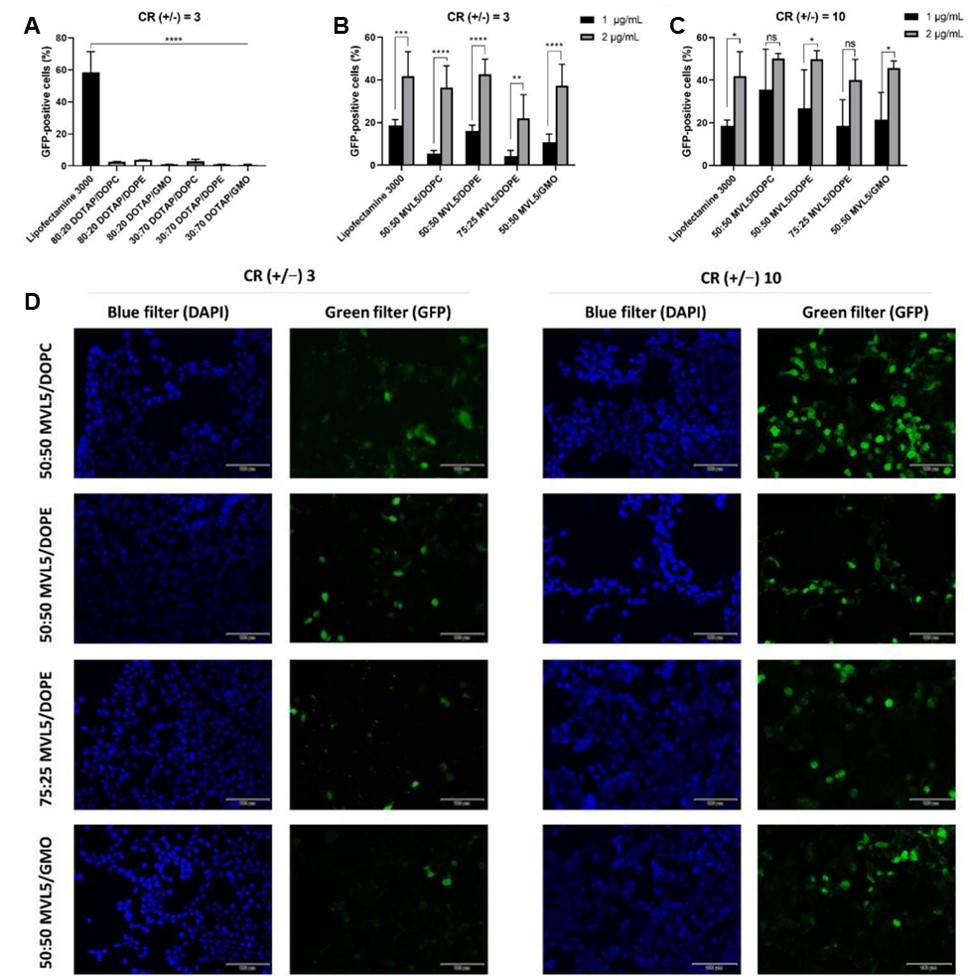 The transfection efficiency of lipoplexes (DOTAP-based, MVL5-based). (Sousa, Diana A., et al., 2022)