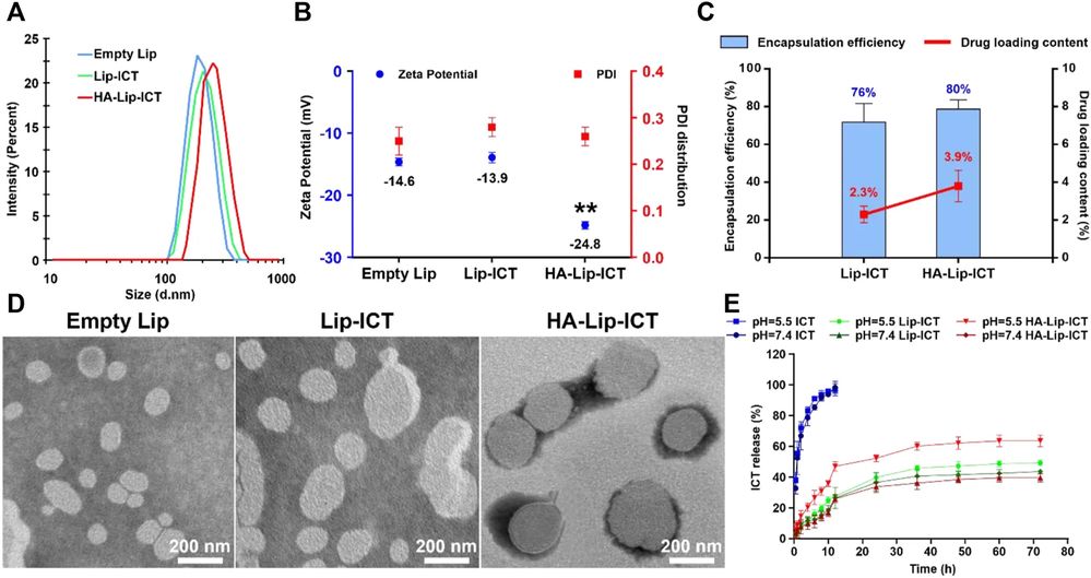 Characterization of empty Lip, Lip-ICT and HA-Lip-ICT. (OA Literature)