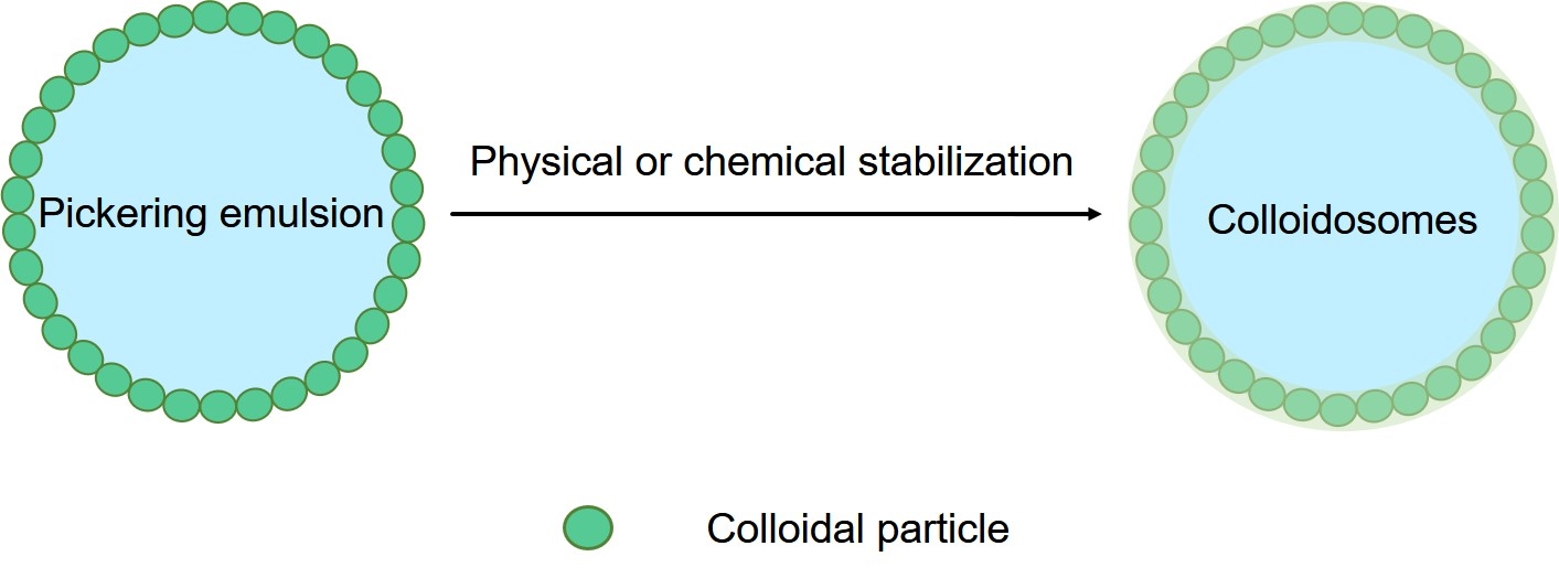 Fig.1 Structure of colloidosomes. (Creative Biolabs Original)