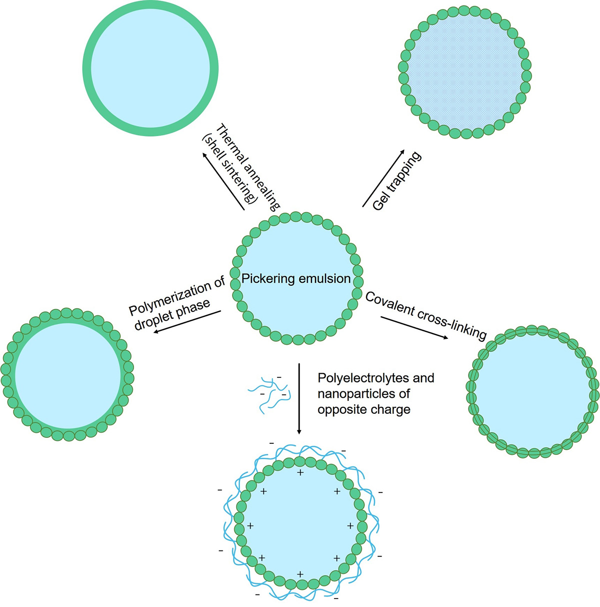 Fig.2 Summary of the various routes investigated for the preparation of colloidosome microcapsules. (Creative Biolabs Original)