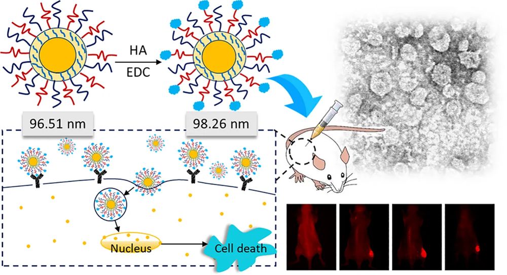 Ligand-guided targeted liposome engineering. (Creative Biolabs Authorized)