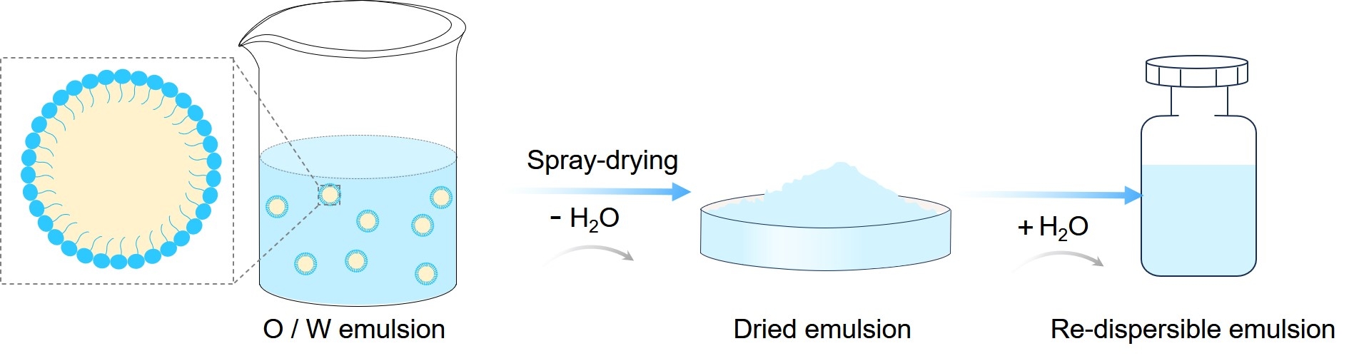 Fig.2 Preparation of the dry emulsion and its re-dispersion. (Creative Biolabs Original)