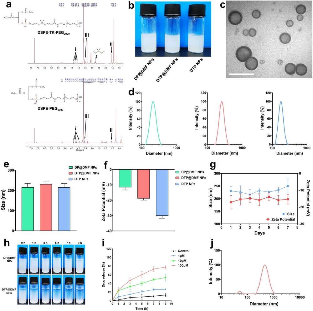 Synthesis & characterization of NPs. (Creative Biolabs Authorized)