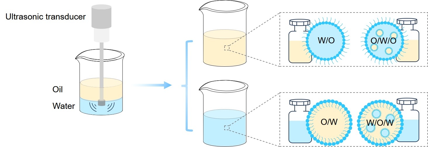 Fig.2 Diagrammatic representations of emulsion system. (Creative Biolabs Original)