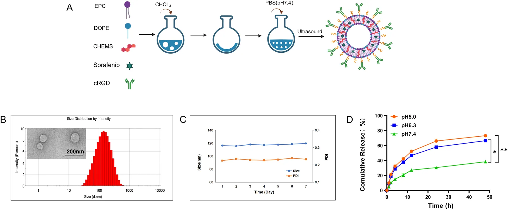 Characterization of Long-Circulating pH-Responsive cRGD Liposomes Loaded with Sorafenib (Creative Biolabs Authorized)
