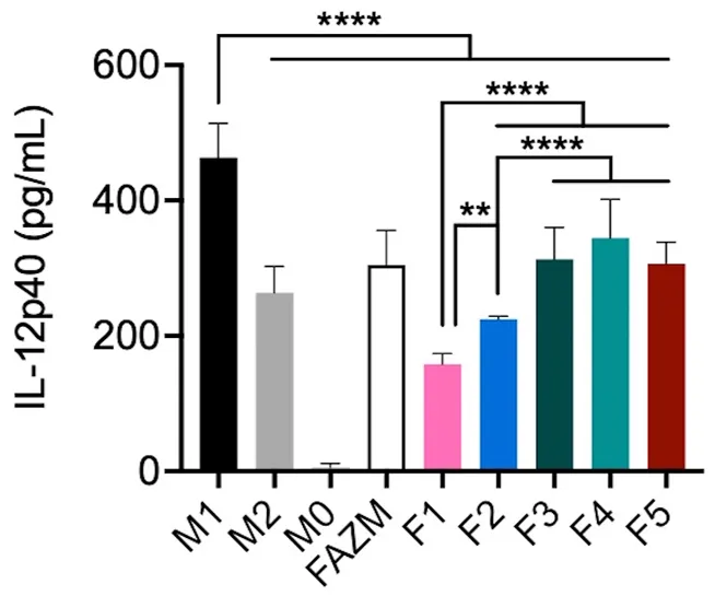 Macrophage IL-12 Response to Optimized L-AZM Liposomal Formulations. (Creative Biolabs Authorized)