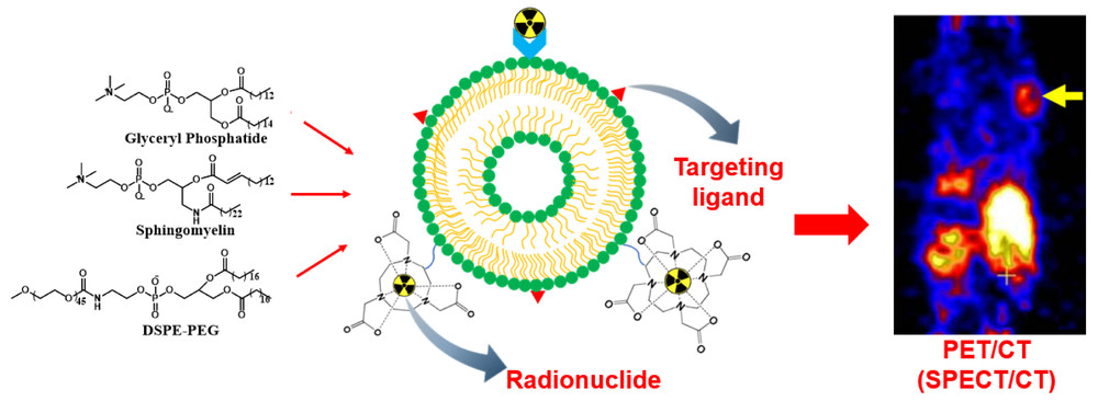 Design strategies for nuclear imaging liposomes. (Creative Biolabs Authorized)