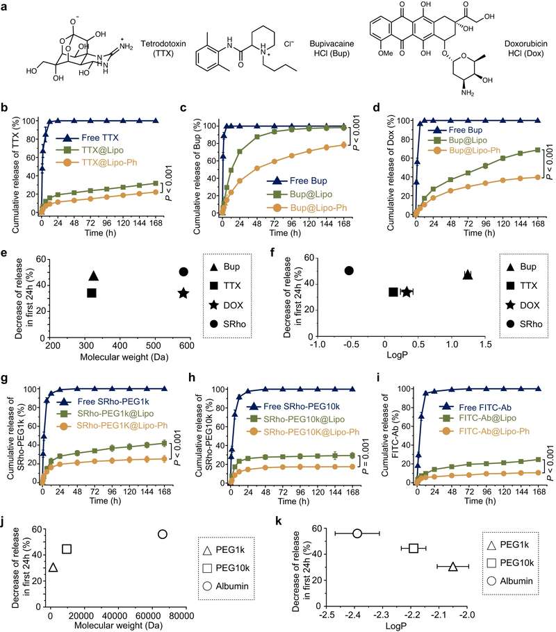 Linking liposome bilayer design to payload-specific release kinetics. (OA Literature)