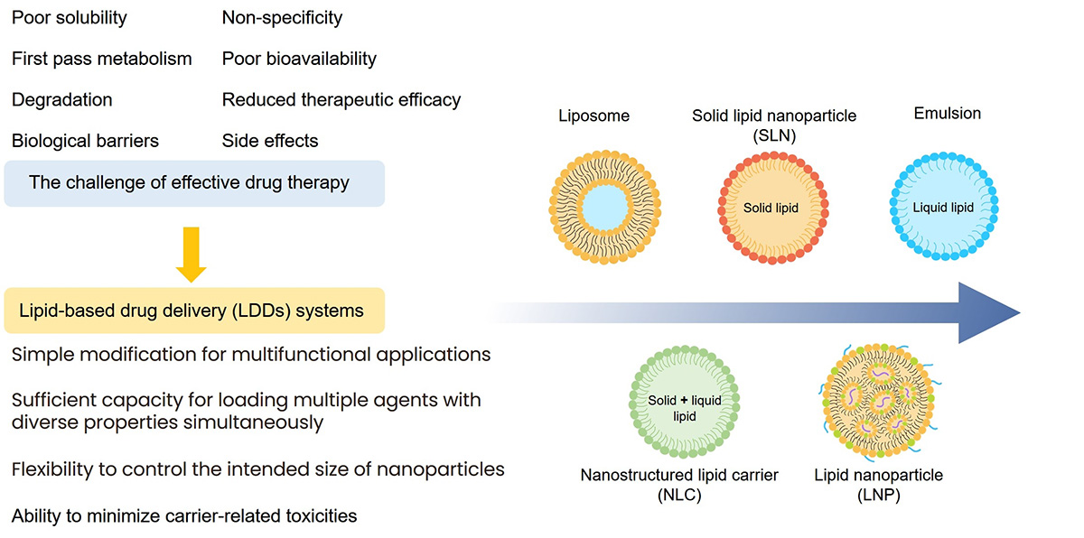 Fig.1 Graphical Abstract of lipid-based delivery systems. (Creative Biolabs Original)