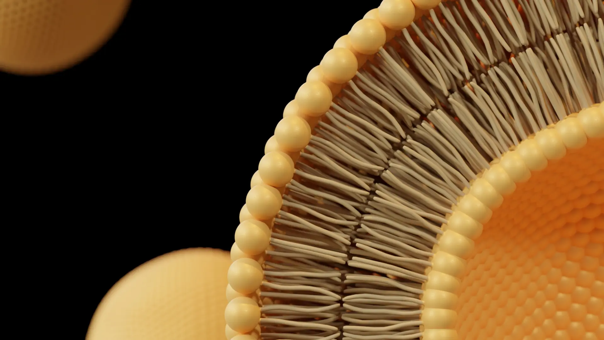 Liposome bilayer structure 3D render