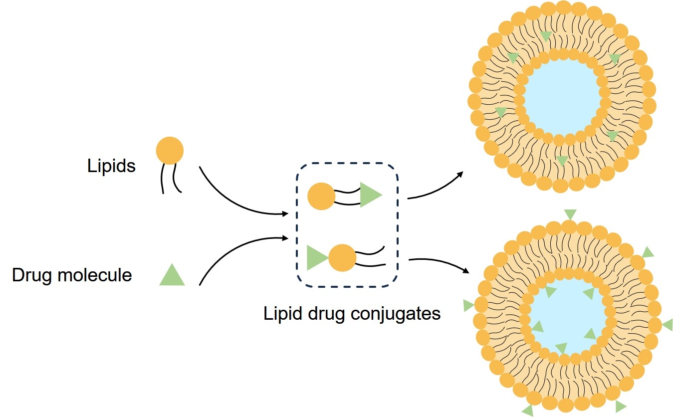 Fig.1 Lipid drug conjugate for enhancing drug delivery. (Creative Biolabs Original)