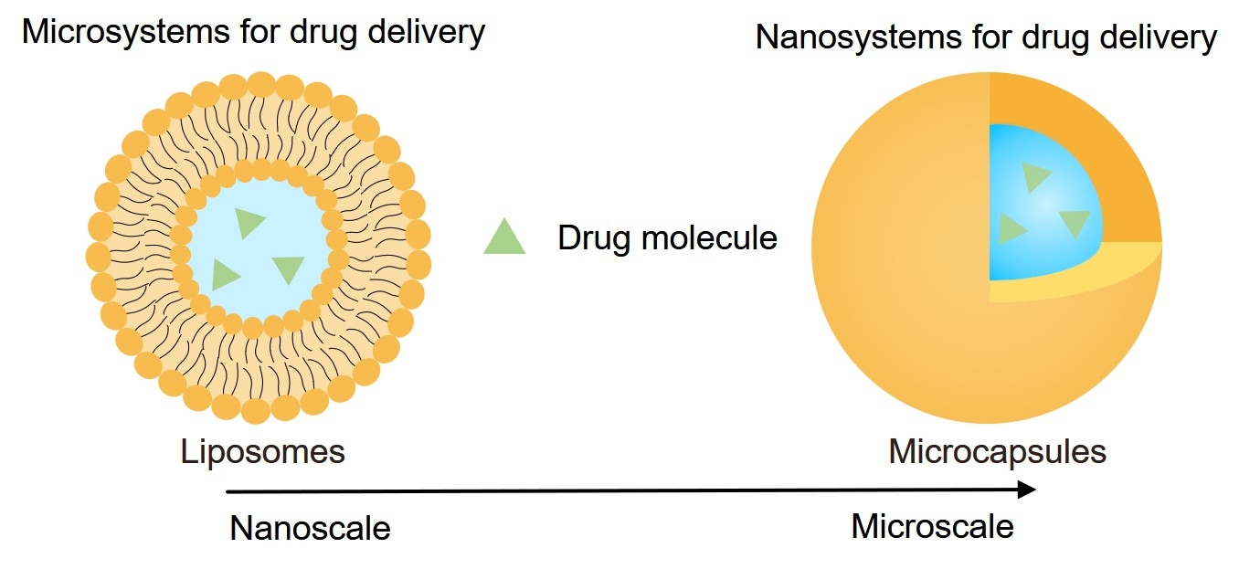 Fig.1 Microparticles and nanosystems for drug delivery. (Creative Biolabs Original)