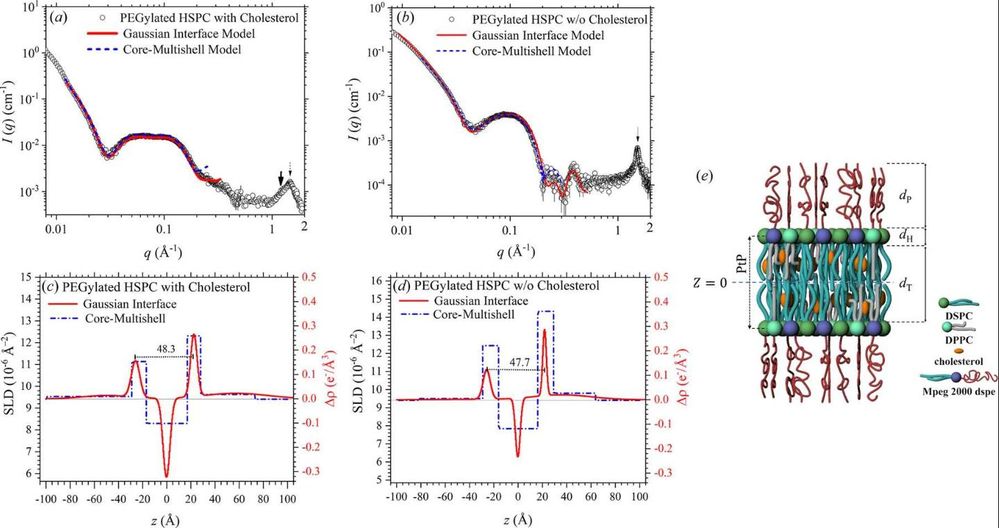 Cholesterol effects on PEGylated liposome bilayer structure. (OA Literature)