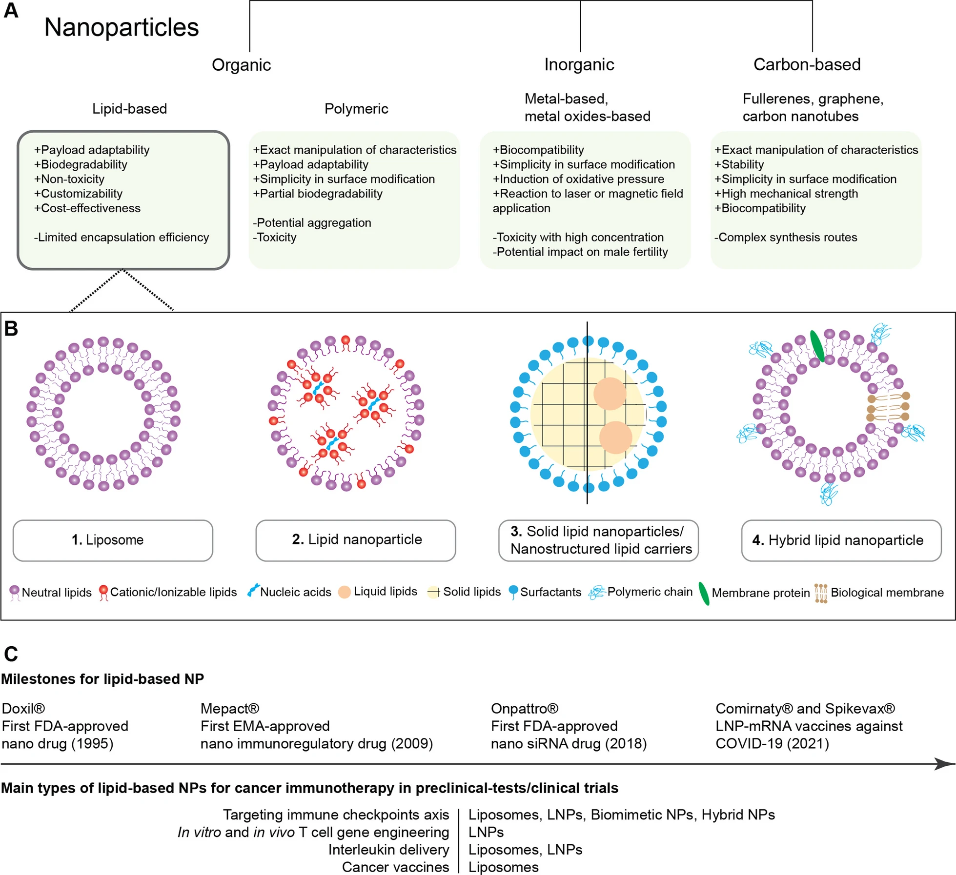 Nanoparticles and lipid-based nanosystems classification. (Creative Biolabs Authorized)