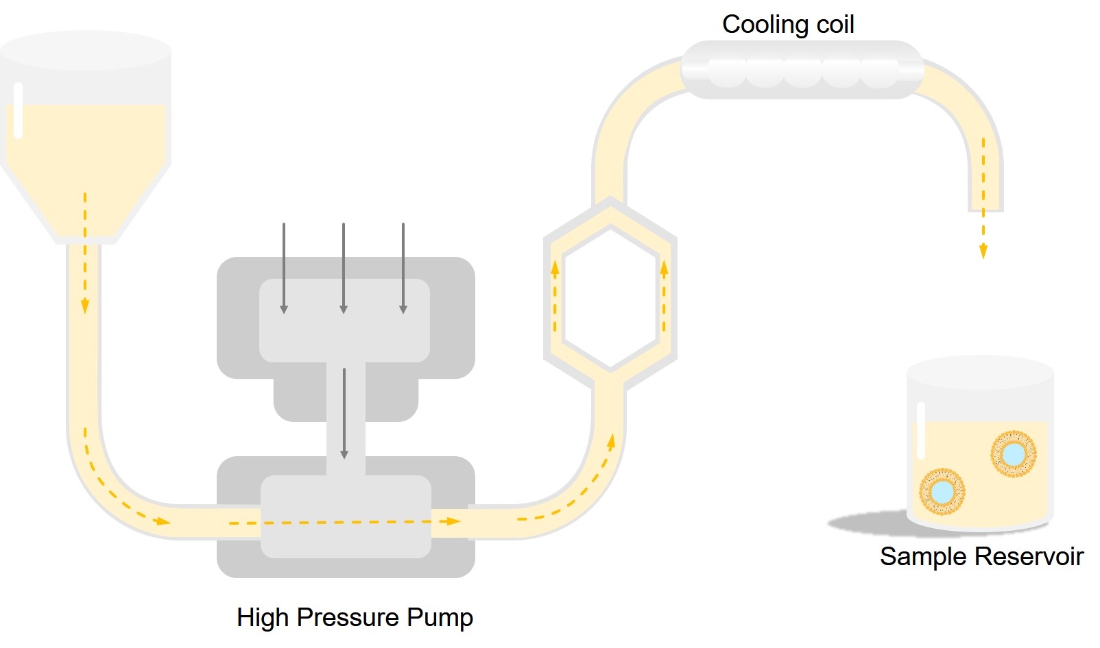 Fig.3 Main components of a microfluidizer apparatu. (Creative Biolabs Original)