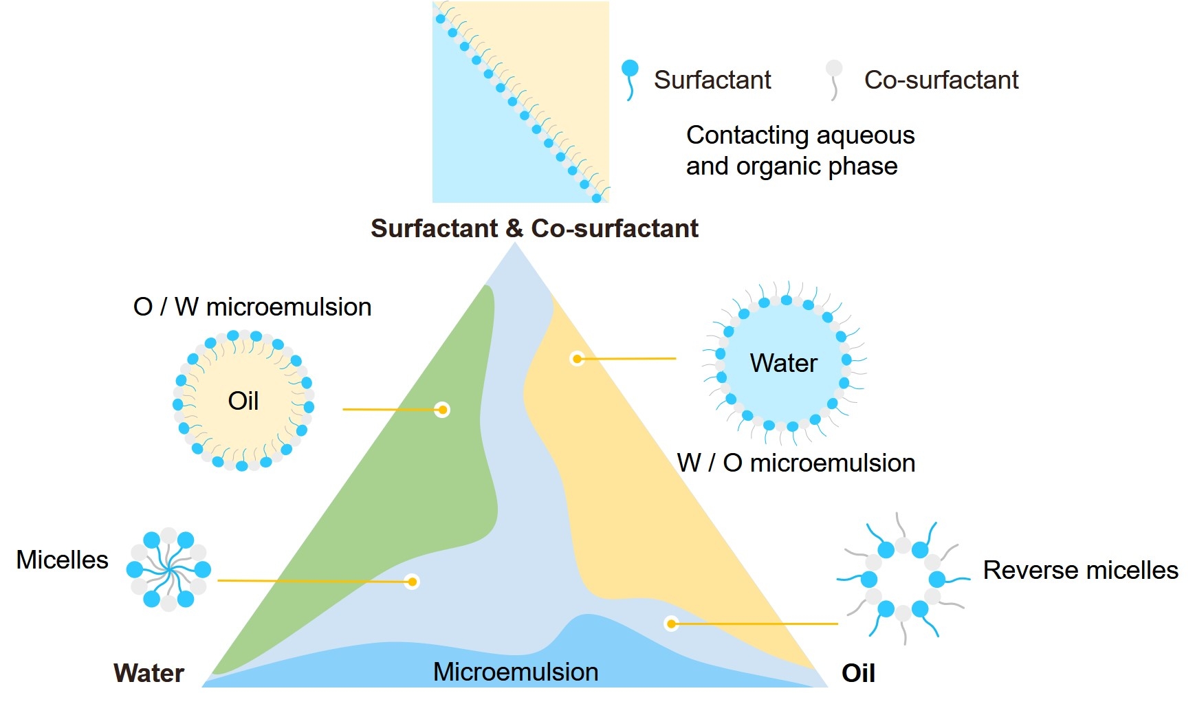 Fig.1 Phase diagram of a microemulsion system. (Creative Biolabs Original)