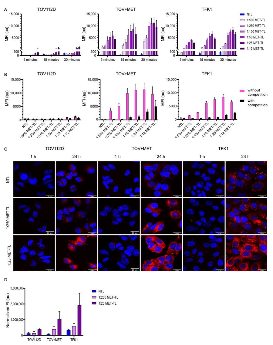 Ligand-guided targeted liposome engineering. (Creative Biolabs Authorized)