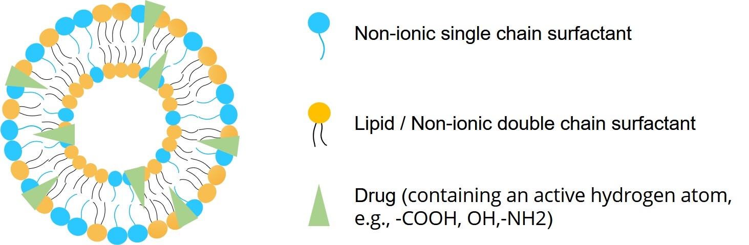 Fig.1 Structure of pharmacosomes. (Creative Biolabs Original)