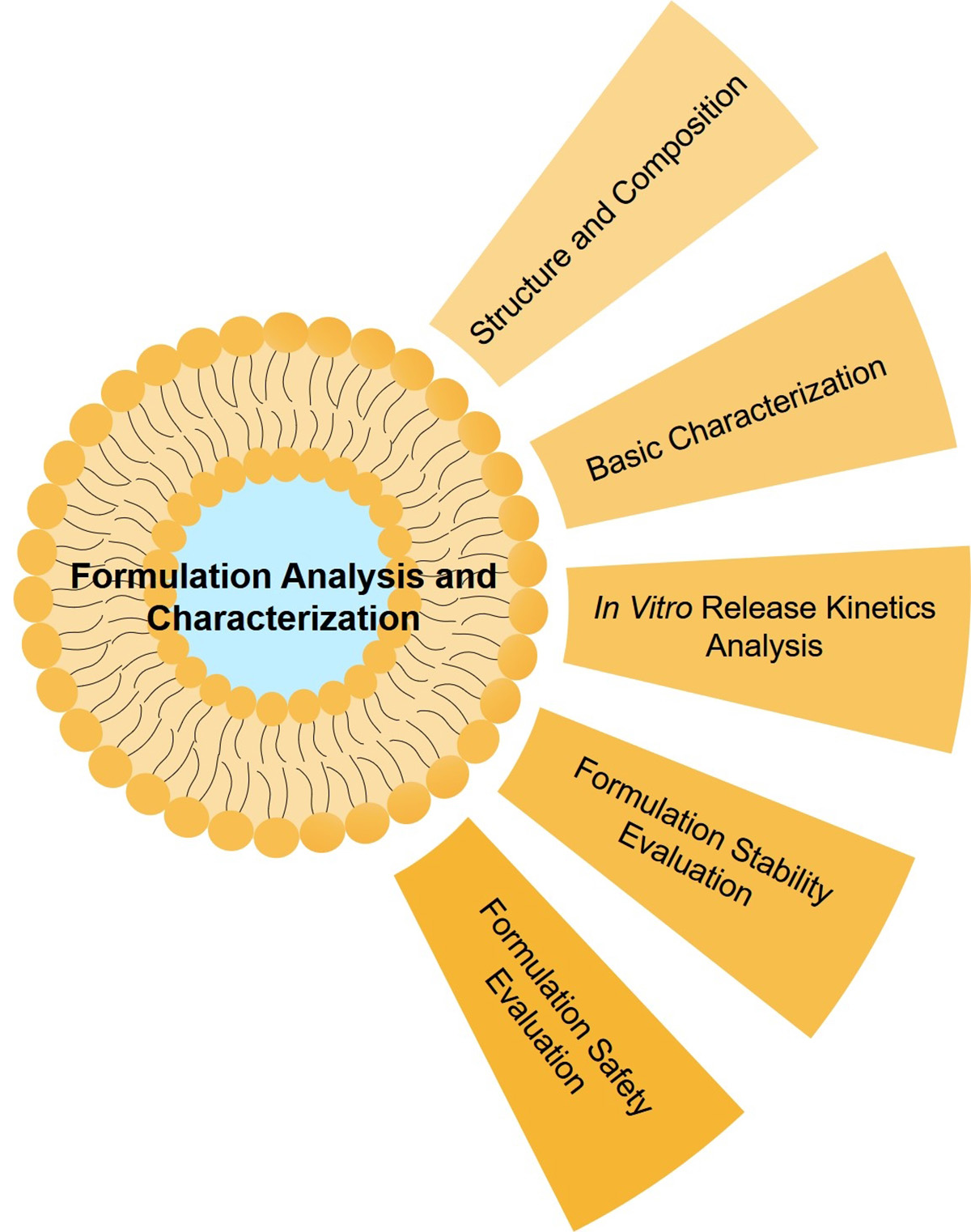 Fig.1 Formulation analysis and characterization. (Creative Biolabs Original)