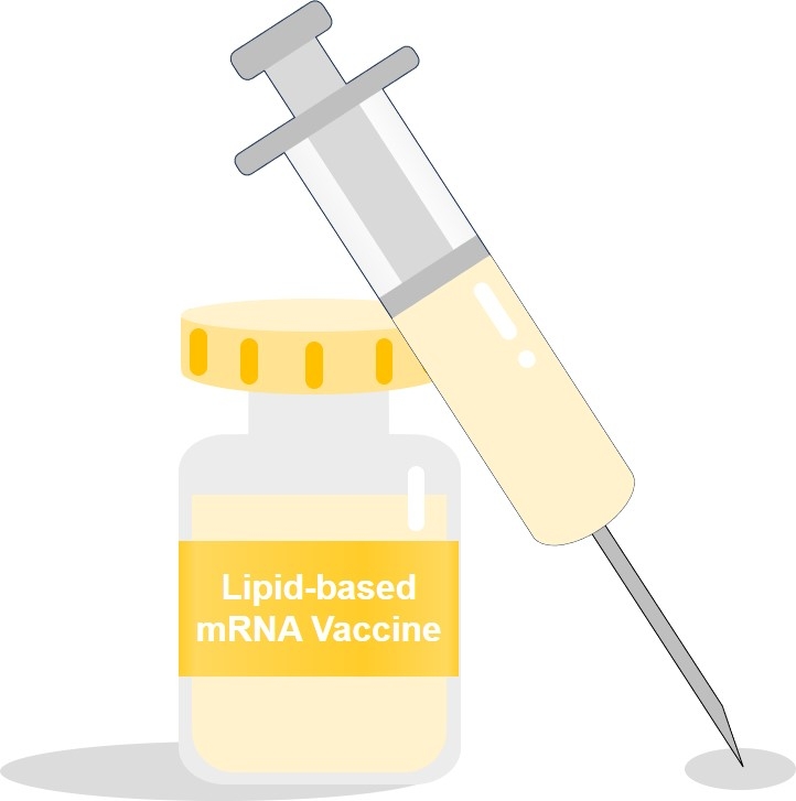 Fig.3 Lipid-based mRNA vaccine development. (Creative Biolabs Original)