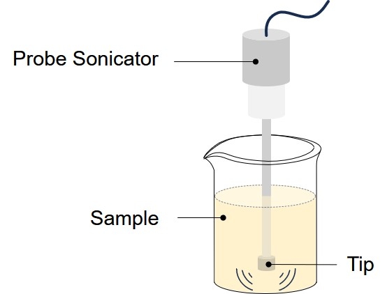Fig.1 Schematic representation of a probe-type sonicator. (Creative Biolabs Original)