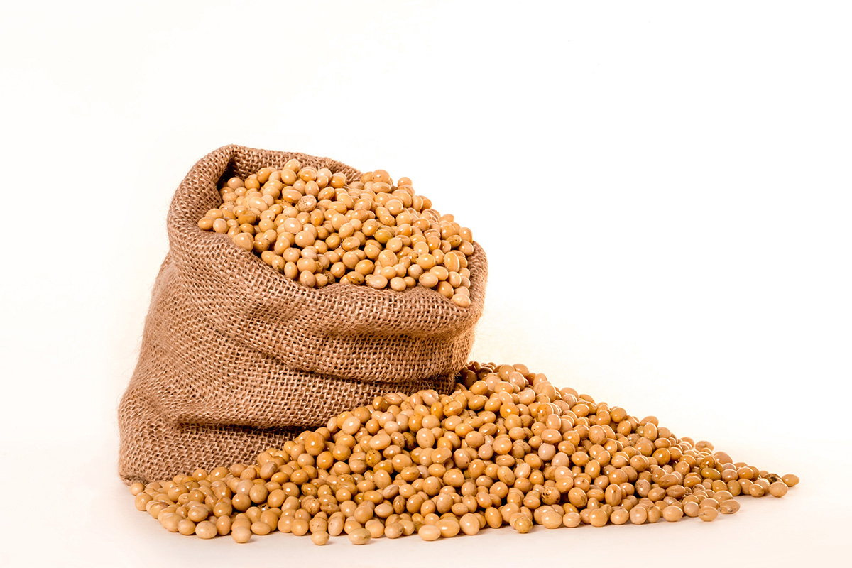 Fig.1 Soybean phosphatidylcholine. (By pnmralex, Free for use under the Pixabay Content License, https://pixabay.com/photos/soybeans-plants-seeds-bag-burlap-2039642/)