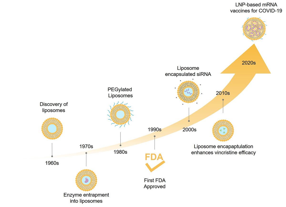 Fig.1 History of liposome. (Creative Biolabs Original)