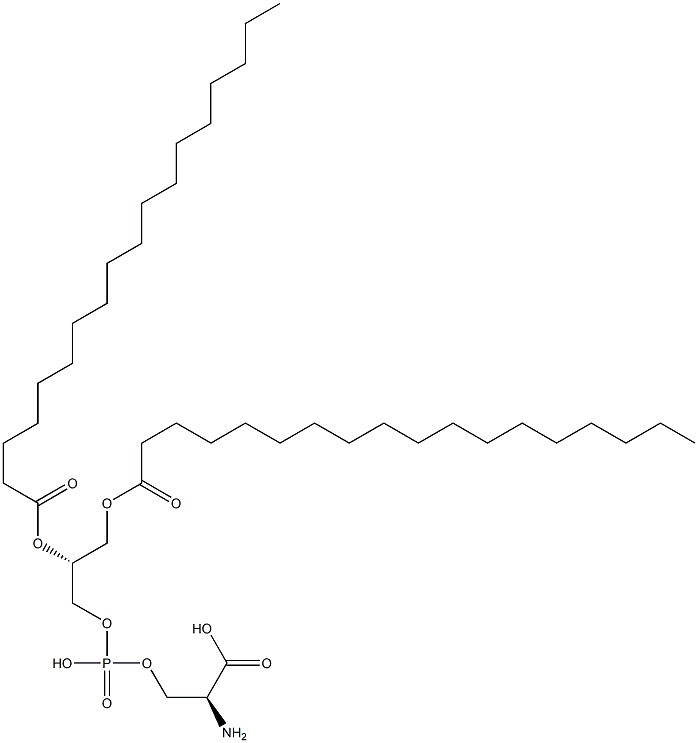 Fig.1 The structure of phosphatidylserine. (Creative Biolabs Original)