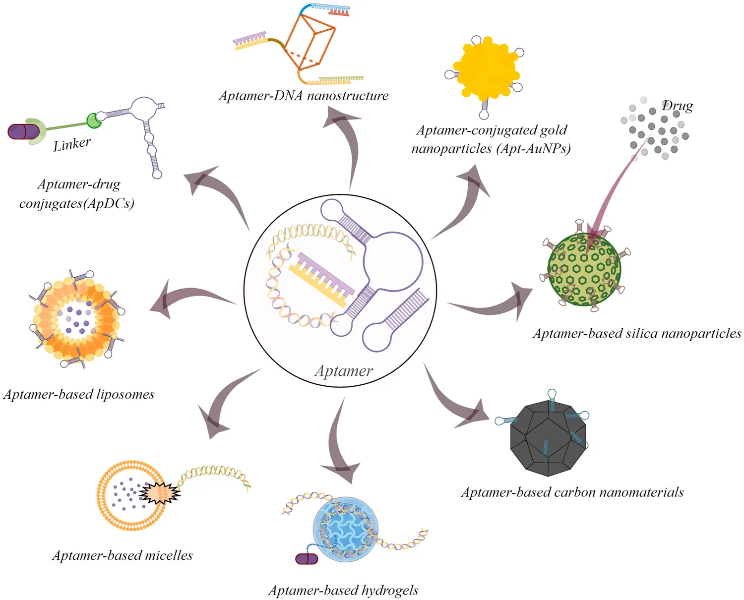 Examples of aptamer-based drug delivery systems for cancer therapy. (Creative Biolabs Authorized)