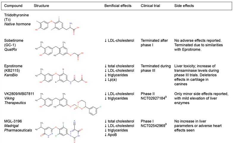 Effects of various TRβ agonists in human trials.