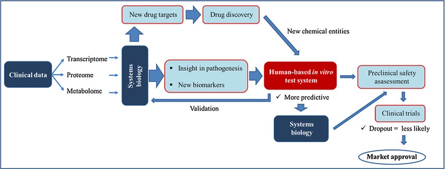 Roadmap for preclinical anti-NASH drug testing and development.