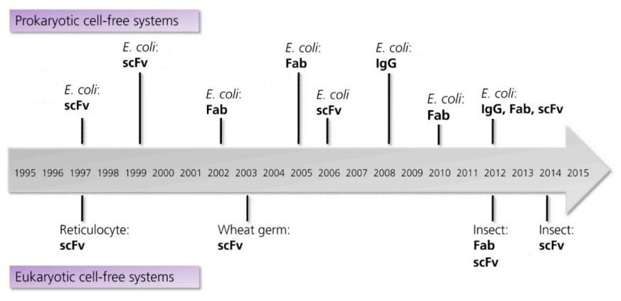 Fig.1 Timeline showing the milestones in the cell-free synthesis of antibody fragments and antibodies.