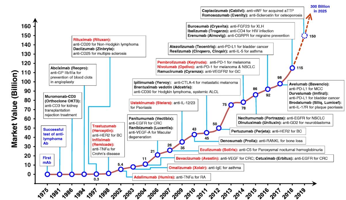 Fig.1 The successful development of therapeutic antibodies and their applications.
